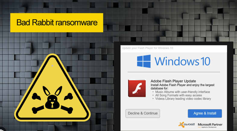 Representação do modo de intrusão do ransomware Bad Rabbit pelo adobe flash.