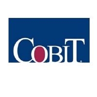 cobit-1x1